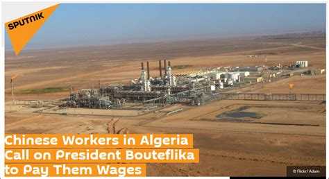 阿尔及利亚本地人月工资多少