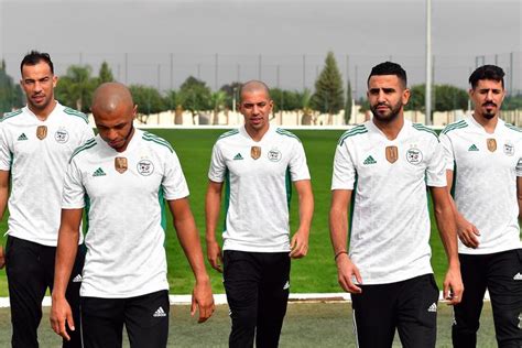 阿尔及利亚vs尼日尔
