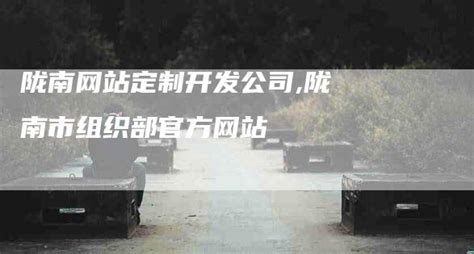 陇南网站推广公司排名