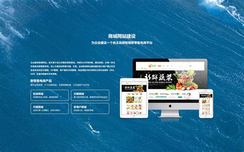 陕西网站建设与设计公司