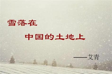 雪落在中国的土地原文