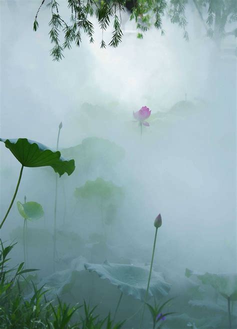 雾里看花的拼音