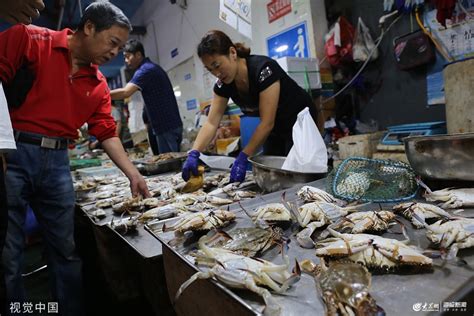 青岛螃蟹价格最新消息
