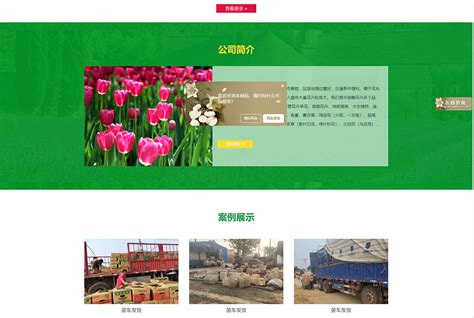 青州市企业网站建设平台