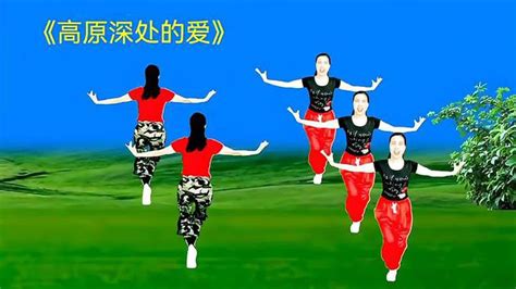 青藏高原广场舞背面加长完整dj版