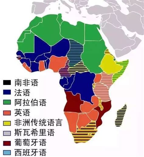 非洲说什么语言