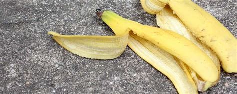 香蕉皮晒干做肥料