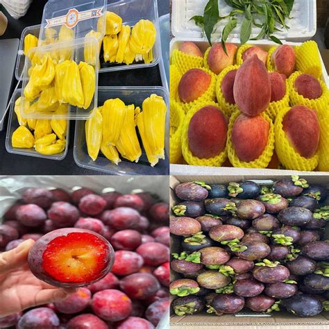 马尼拉水果批发市场