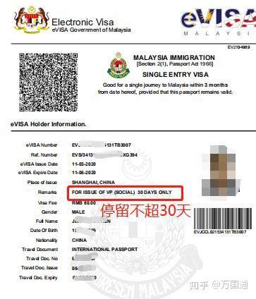 马来西亚电子证书