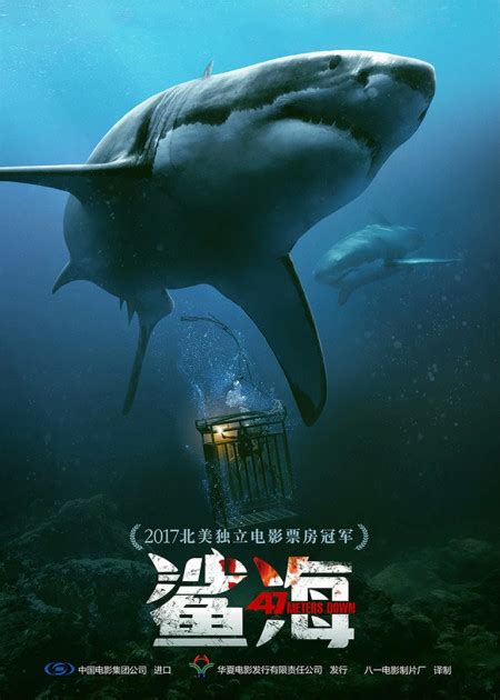 鲨海电影在线观看免费