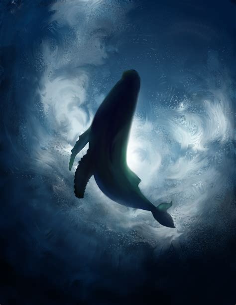 鲸鱼完整图