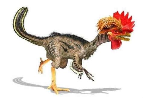 鸡的祖先是谁恐龙
