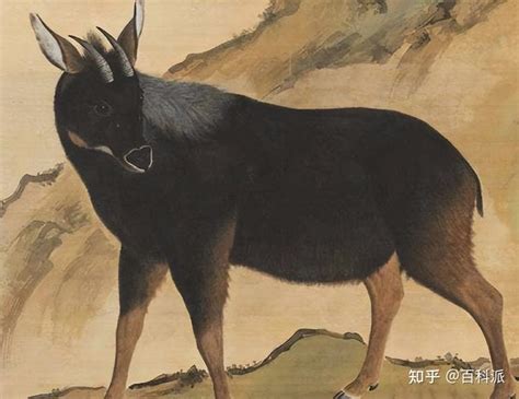 麒麟原型鬣羚