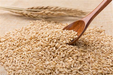 麦芽和米的比例是多少