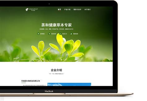 黄山网站开发优势