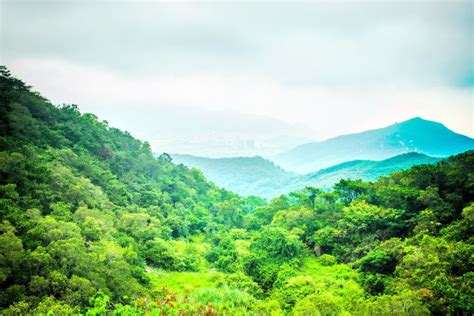 黄花山国家森林公园生态调查