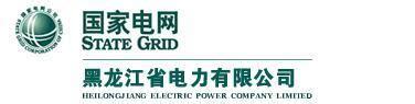黑龙江电力公司网站