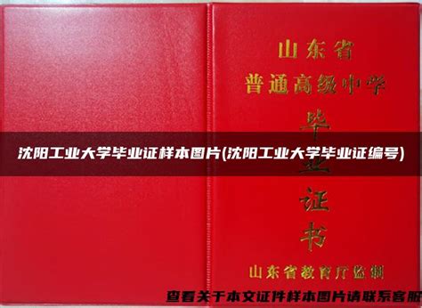 06年沈阳工业大学毕业证补办