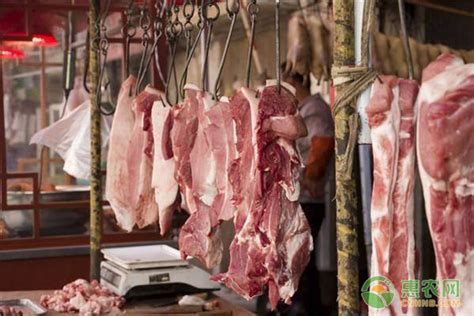 2008年猪肉多少钱一斤