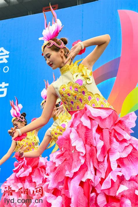 2019年河洛文化节是第几届