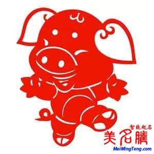 2019年猪宝宝张姓名字大全