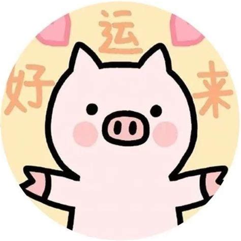 2019猪宝宝取名大全