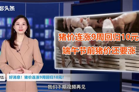 2021发改委关于猪价最近消息