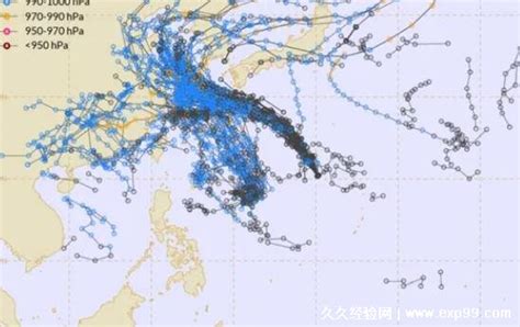 2023年台风命名表一览表