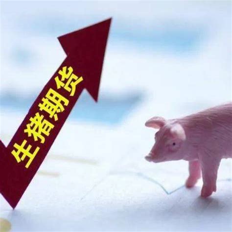 2201生猪期货历史最低价是多少