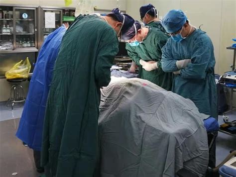 24岁研究生病逝捐器官救5人