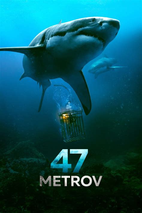 24部海洋电影
