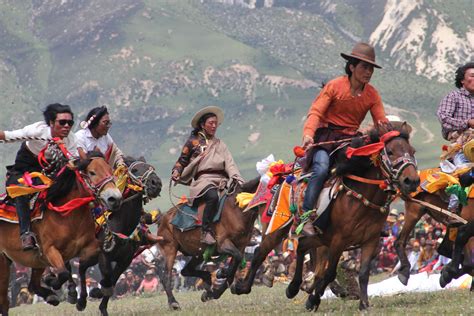 250万的藏族马