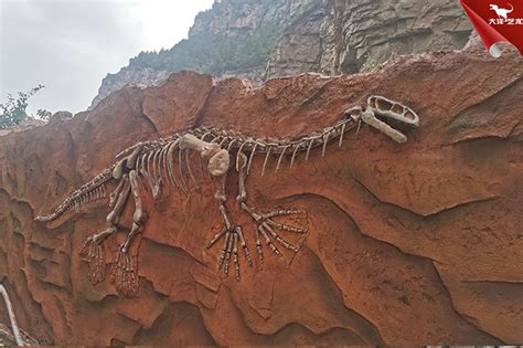 30厘米恐龙化石值多少钱