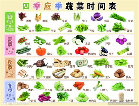 6月蔬菜种植时间表