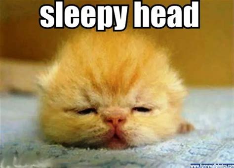 SLEEPY    HEAD