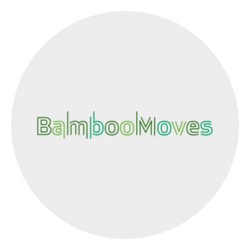 bamboomovesenglewood