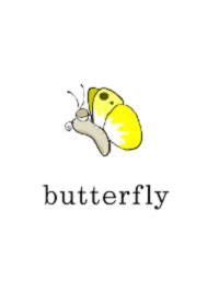 butterfly单词图片