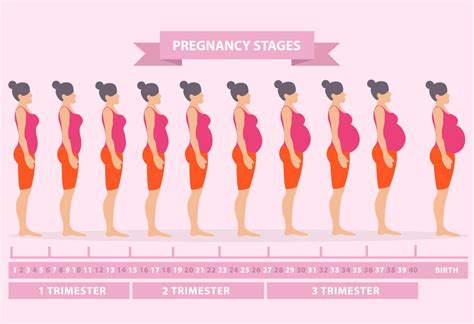 changes during pregnancy