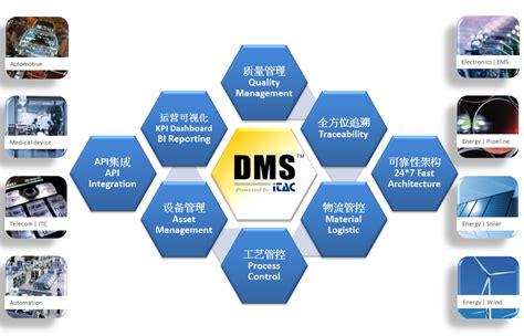 dms系统开发