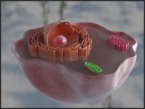 dna细胞生物模型