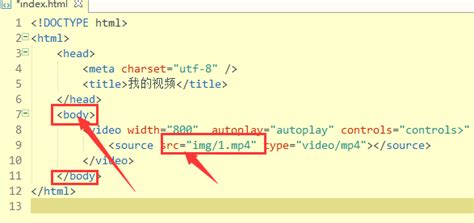 html怎么插入网上的视频