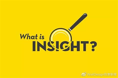 insights是什么意思