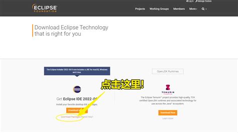 java开发人员eclipse使用版本