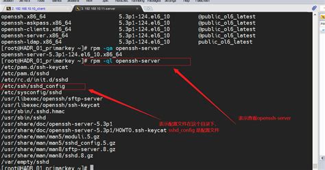 linux查询服务器ip总量