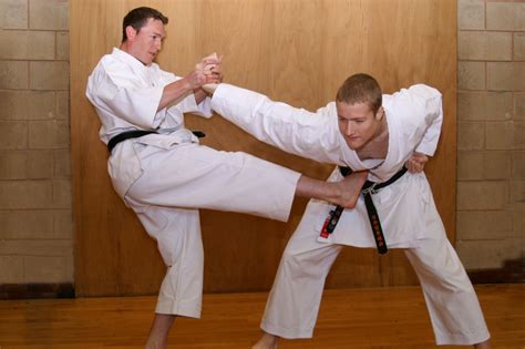 martial arts skills