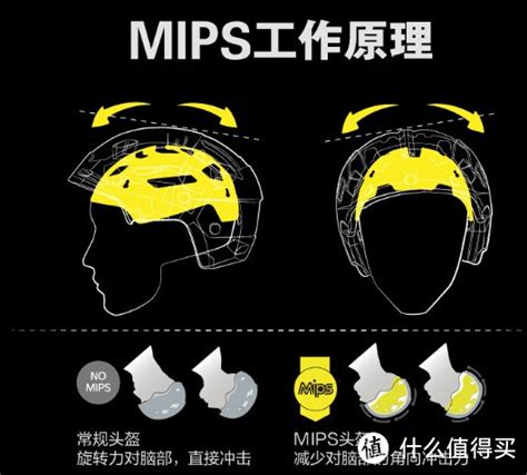 mips脑部防护