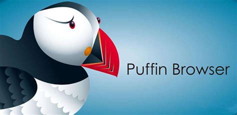 puffin浏览器自带网吗