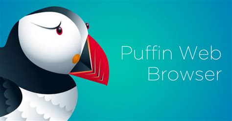 puffin browser浏览器