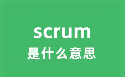 scrum是什么意思
