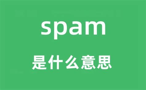 seo和spam是什么意思